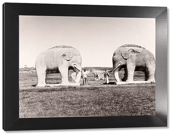 China c. 1880s - elephants on the road to the Ming tombs