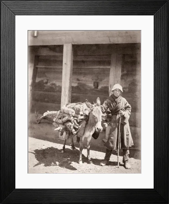 Framed Print : Caucasus Georgia - Georgian man with a heavily laden donkey Framed Print : Caucasus Georgia - Georgian man with a heavily laden donkey