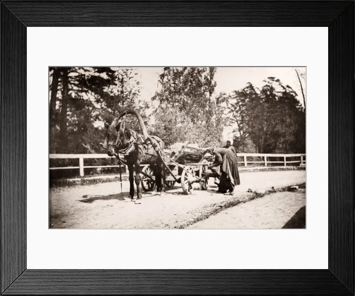 Framed Print : Russia - Russian horse drawn wagon carrying timber Framed Print : Russia - Russian horse drawn wagon carrying timber