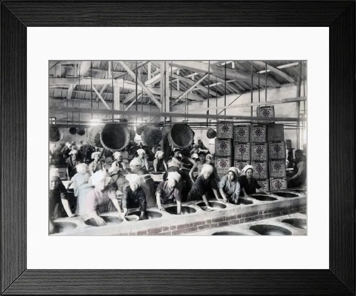 Framed Print : Processing tea, Japan, c. 1880 s Framed Print : Processing tea, Japan, c. 1880 s