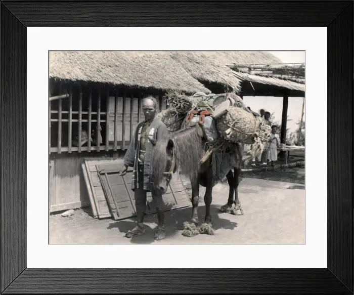 Framed Print : Pack horse with grass shoes, Japan, c. 1880 s Framed Print : Pack horse with grass shoes, Japan, c. 1880 s
