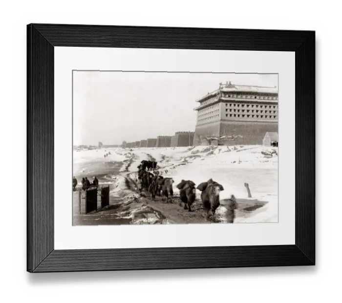 Framed Print : City walls in snow, camels, Peking, Beijing, China c. 1900 Framed Print : City walls in snow, camels, Peking, Beijing, China c. 1900