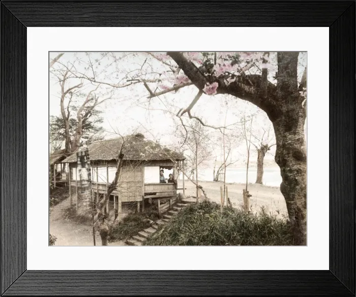Framed Print : c. 1880s Japan - cherry Avenue, Mukojima, Tokyo Framed Print : c. 1880s Japan - cherry Avenue, Mukojima, Tokyo