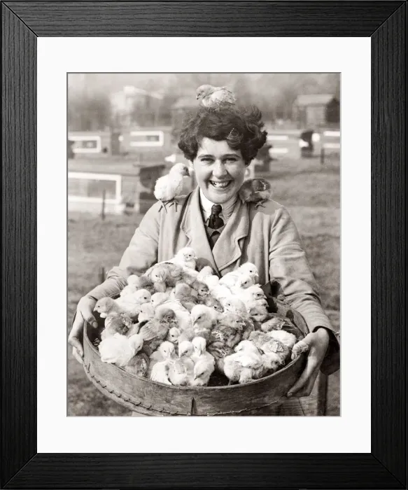 Framed Print : Girl with a basket full of Easter chicks, 1930 s Framed Print : Girl with a basket full of Easter chicks, 1930 s