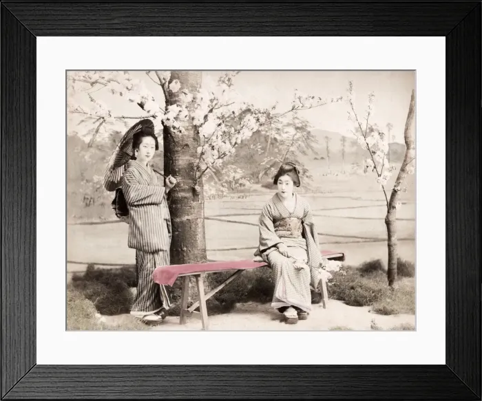 Framed Print : Late 19th century - young Japanese women, cherry blossom Framed Print : Late 19th century - young Japanese women, cherry blossom