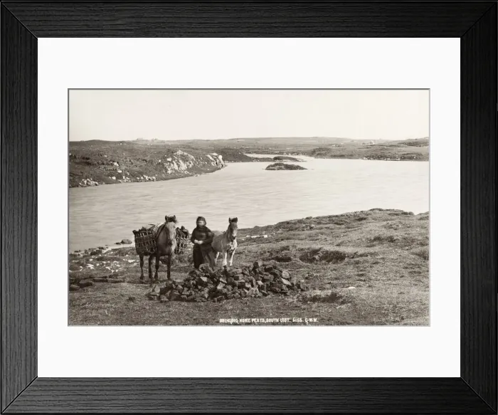 Framed Print : Bringing home peat with a pony, Scotland Framed Print : Bringing home peat with a pony, Scotland