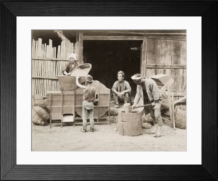 Framed Print : Pounding rice - the last cleaning using fans, Japan Framed Print : Pounding rice - the last cleaning using fans, Japan