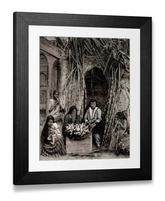 Framed Print : Street vendor of sugar cane, Cairo, Egypt Framed Print : Street vendor of sugar cane, Cairo, Egypt