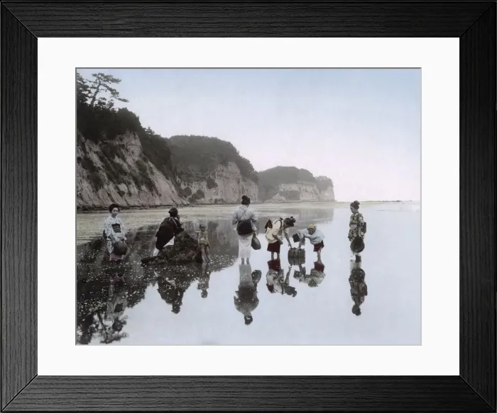 Framed Print : Picking shellfish along the seashore, Japan, c. 1890 Framed Print : Picking shellfish along the seashore, Japan, c. 1890