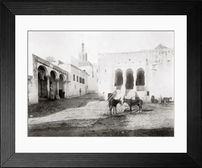 Framed Print : Horses and donkeys Tangier, Morocco, c. 1890 s Framed Print : Horses and donkeys Tangier, Morocco, c. 1890 s