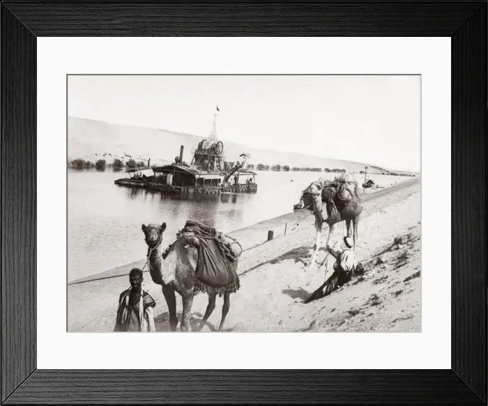 Framed Print : Camels and a dregder, Suze Canal, Egypt, c. 1880 s Framed Print : Camels and a dregder, Suze Canal, Egypt, c. 1880 s