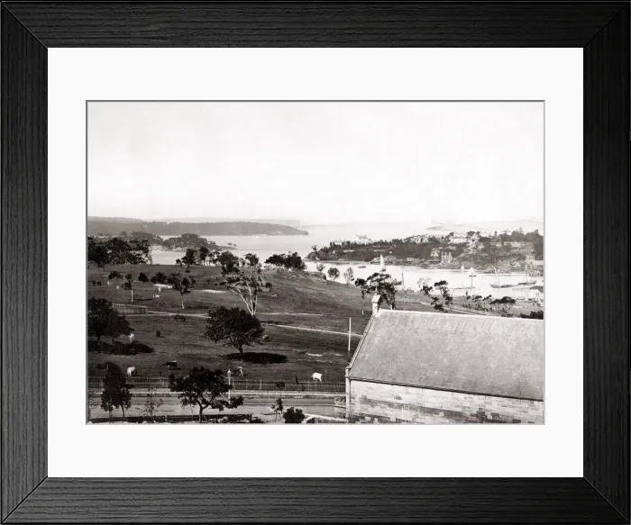 Framed Print : Sydney harbour, New South Wales, Australia, c. 1880 Framed Print : Sydney harbour, New South Wales, Australia, c. 1880