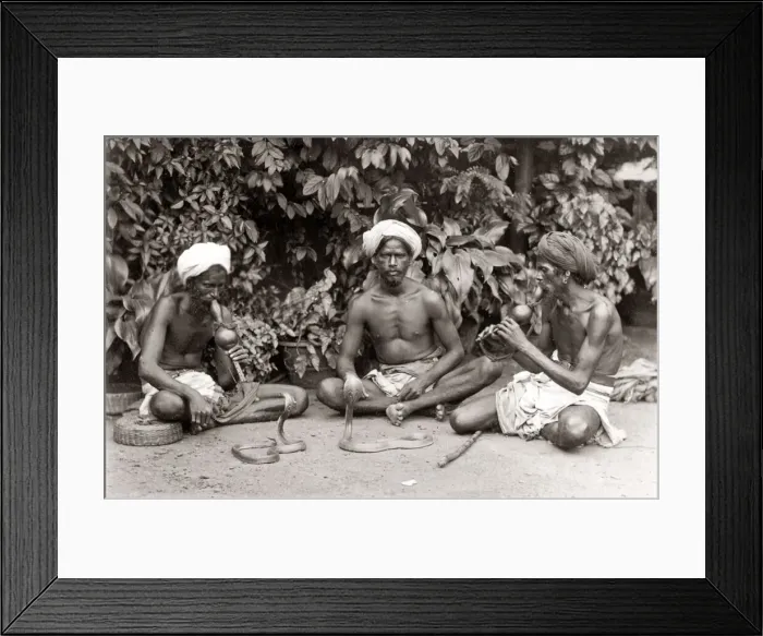 Framed Print : Snake charmers, musical instruments, India, c. 1880 s Framed Print : Snake charmers, musical instruments, India, c. 1880 s