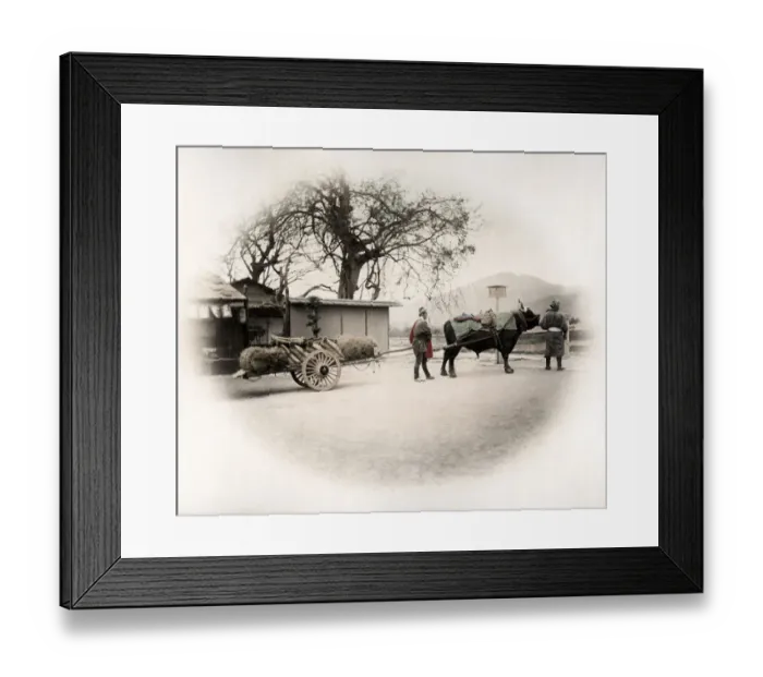 Framed Print : c. 1880s Japan - bullock cart Framed Print : c. 1880s Japan - bullock cart
