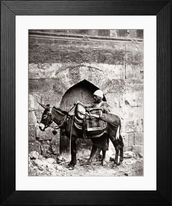 Framed Print : c. 1880s Egypt Cairo - man and his transport donkey Framed Print : c. 1880s Egypt Cairo - man and his transport donkey