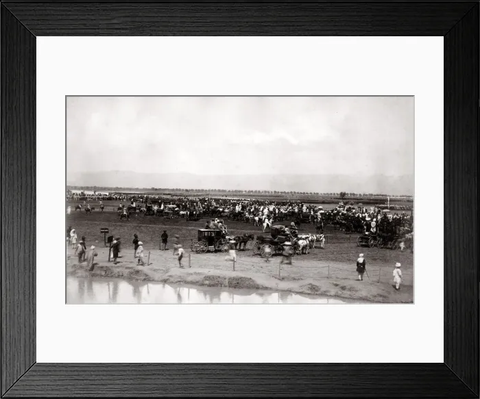 Framed Print : 1880s India - military procession, march-past, durbar Framed Print : 1880s India - military procession, march-past, durbar