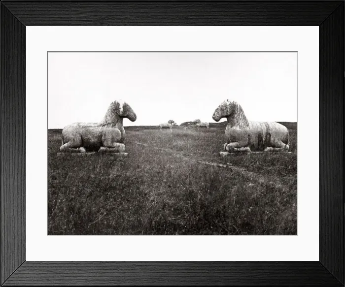 Framed Print : c. 1880s China - stone animals Ming Tombs Framed Print : c. 1880s China - stone animals Ming Tombs