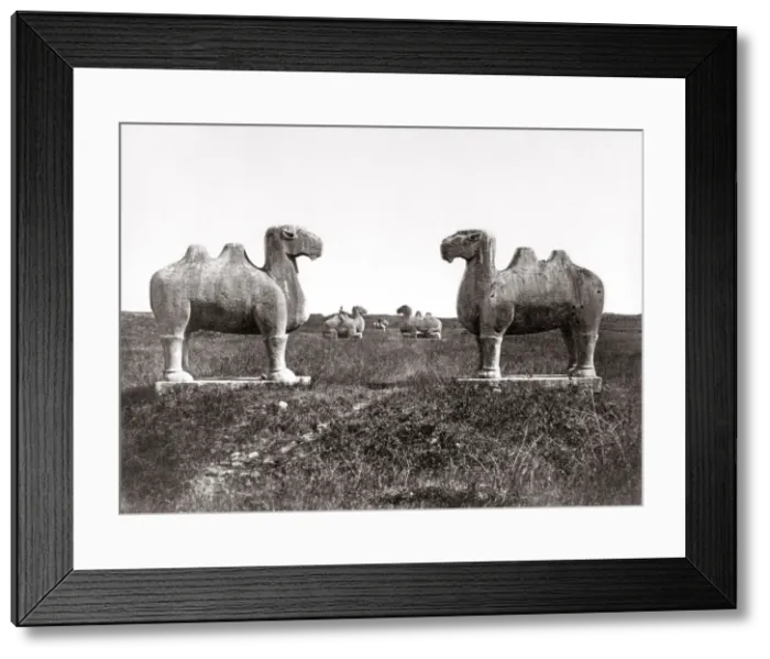 Framed Print : c. 1880s China - stone animals Ming Tombs Framed Print : c. 1880s China - stone animals Ming Tombs
