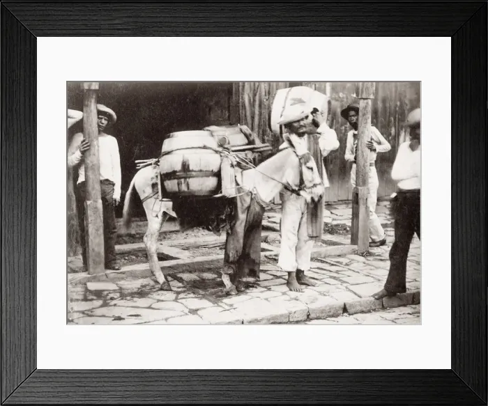 Framed Print : South America, pack horse with its load and handler Framed Print : South America, pack horse with its load and handler