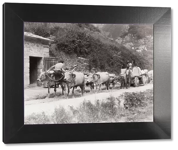 Bullock cart pulling stone from a quarry