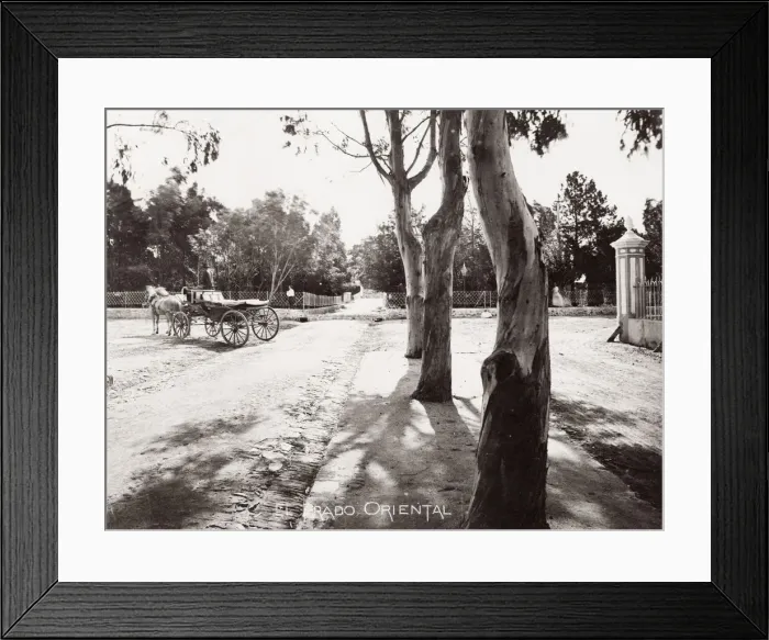Framed Print : Prado, Montevideo, Uruguay Framed Print : Prado, Montevideo, Uruguay