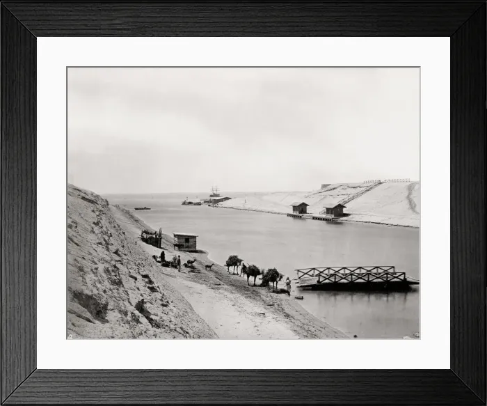 Framed Print : Camels along the side of the Suez Canal, Egypt Framed Print : Camels along the side of the Suez Canal, Egypt