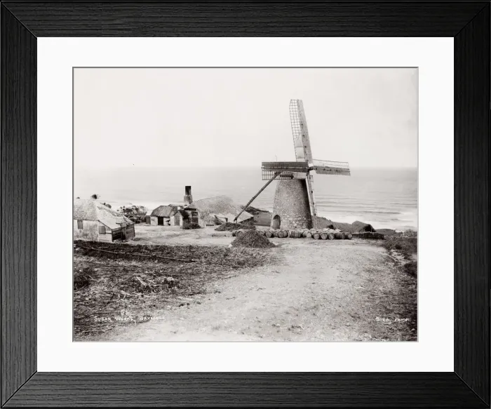Framed Print : sugar works and windmill Barbados, West indies Framed Print : sugar works and windmill Barbados, West indies