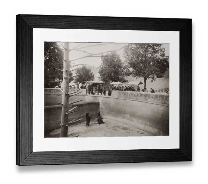 Framed Print : Bear Pit, Bern, Switzerland Framed Print : Bear Pit, Bern, Switzerland