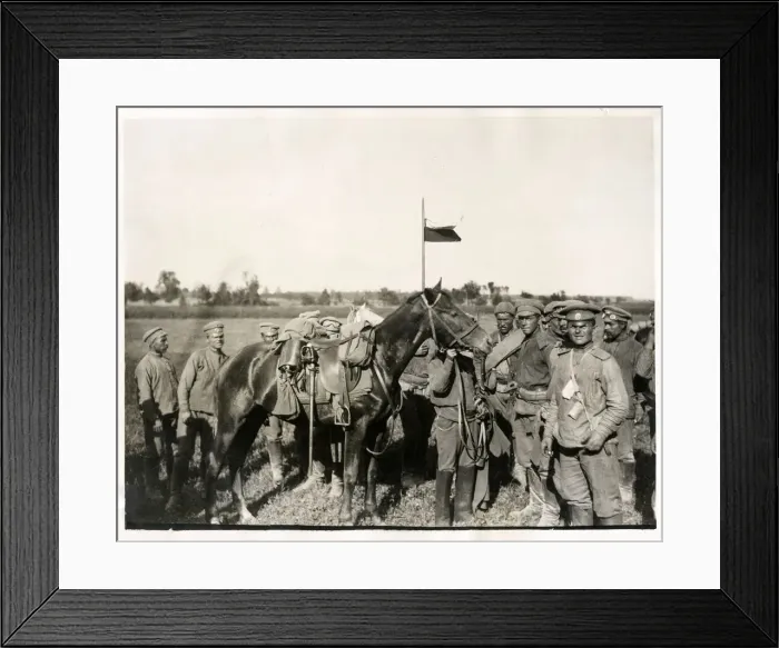 Framed Print : Captured horse of a German cavalry officer, World War I Framed Print : Captured horse of a German cavalry officer, World War I