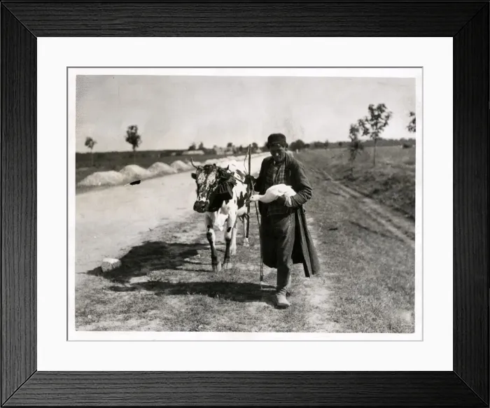 Framed Print : Polish refugee flees ahead of German advance Poland WWI Framed Print : Polish refugee flees ahead of German advance Poland WWI
