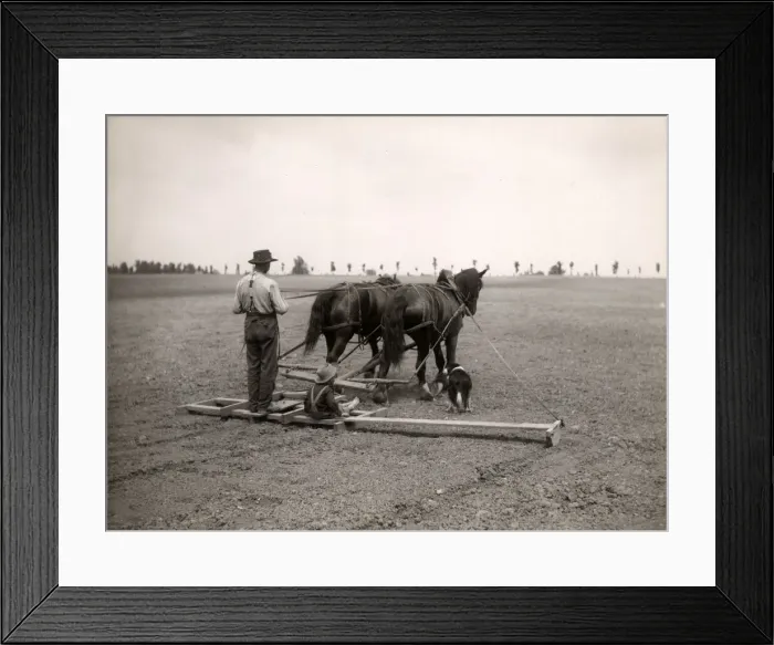Framed Print : Early 20th century vintage press photograph Framed Print : Early 20th century vintage press photograph