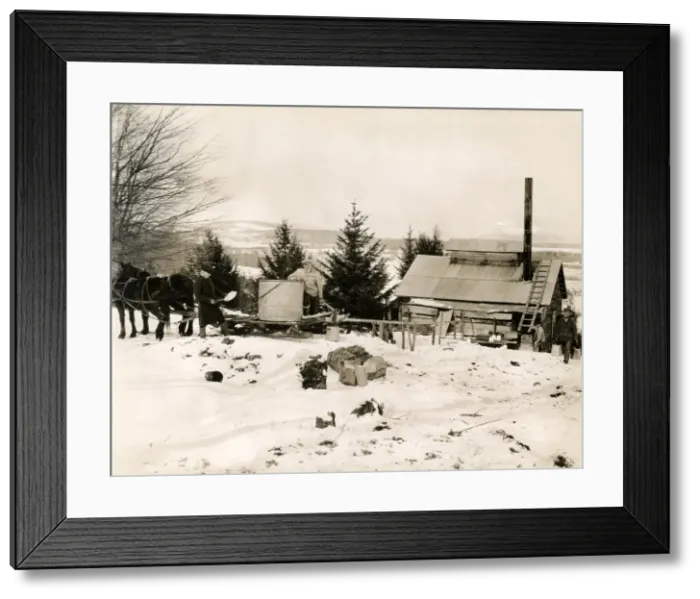 Framed Print : Early 20th century vintage press photograph Framed Print : Early 20th century vintage press photograph