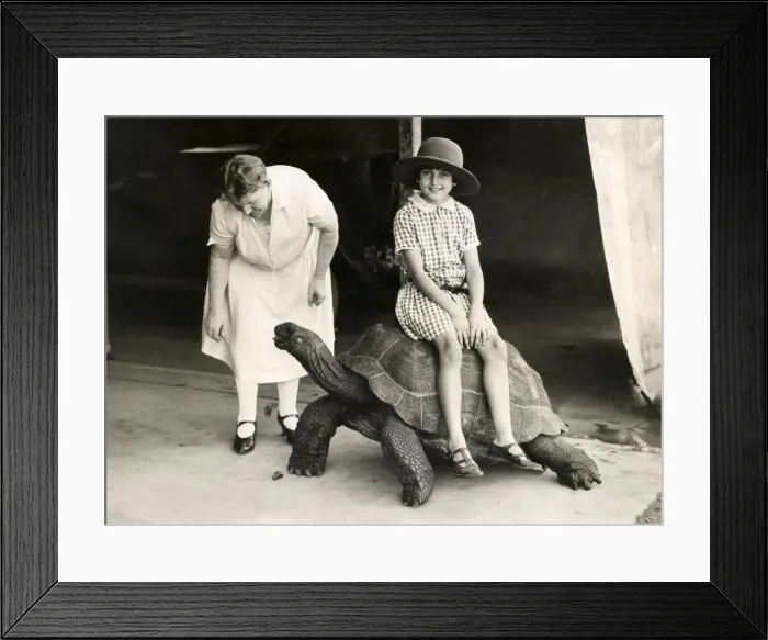 Framed Print : Early 20th century vintage press photograph Framed Print : Early 20th century vintage press photograph