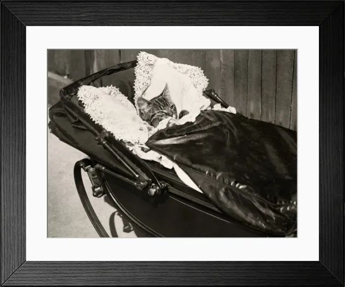Framed Print : Early 20th century vintage press photograph Framed Print : Early 20th century vintage press photograph