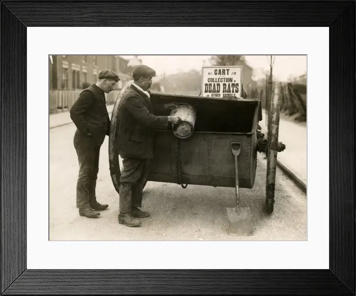 Framed Print : Early 20th century vintage press photograph Framed Print : Early 20th century vintage press photograph