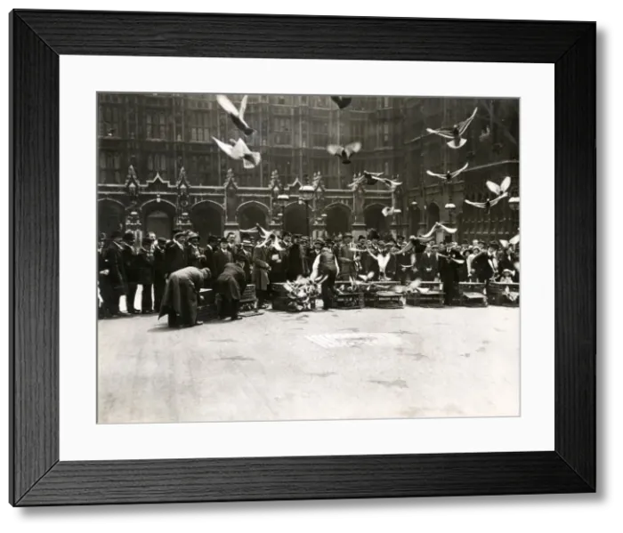 Framed Print : Early 20th century vintage press photograph Framed Print : Early 20th century vintage press photograph