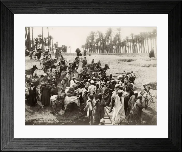Framed Print : River Nile, Egypt, crowd of men with mules and donkeys Framed Print : River Nile, Egypt, crowd of men with mules and donkeys