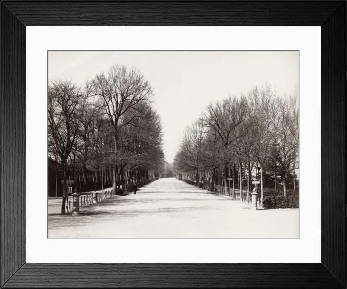 Framed Print : The Parco delle Cascine, Florence, Italy Framed Print : The Parco delle Cascine, Florence, Italy