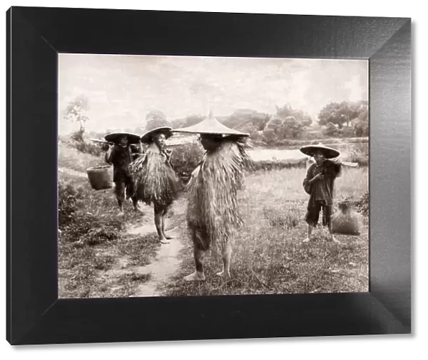 China - Chinese peasants, farm workers hats and grass coats