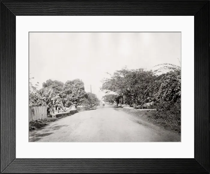 Framed Print : View along Nuuanu Avenue, Honolulu, Hawaii Framed Print : View along Nuuanu Avenue, Honolulu, Hawaii