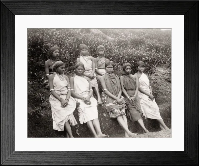 Framed Print : Tea plantation workers, Ceylon, Sri Lanka Framed Print : Tea plantation workers, Ceylon, Sri Lanka