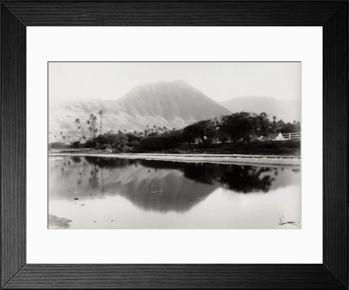 Framed Print : Kaʻala or Mount Kaʻala in Hawaii Framed Print : Kaʻala or Mount Kaʻala in Hawaii