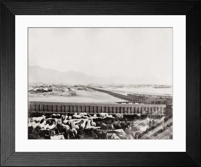 Framed Print : Antofagasta Chile, Atacama Desert Framed Print : Antofagasta Chile, Atacama Desert