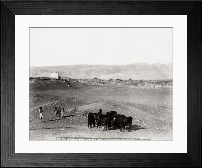 Framed Print : Jericho Holy Land, Palestine, now West Bank Framed Print : Jericho Holy Land, Palestine, now West Bank