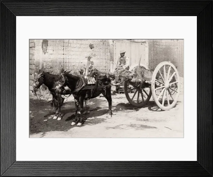 Framed Print : Farmers cart being pulled by a pair of horses, southern Italy Framed Print : Farmers cart being pulled by a pair of horses, southern Italy