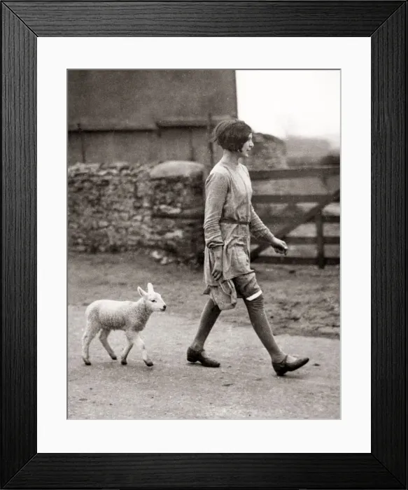 Framed Print : Pet lamb and girl on a farm in Oxfordhsire, 1930 s Framed Print : Pet lamb and girl on a farm in Oxfordhsire, 1930 s