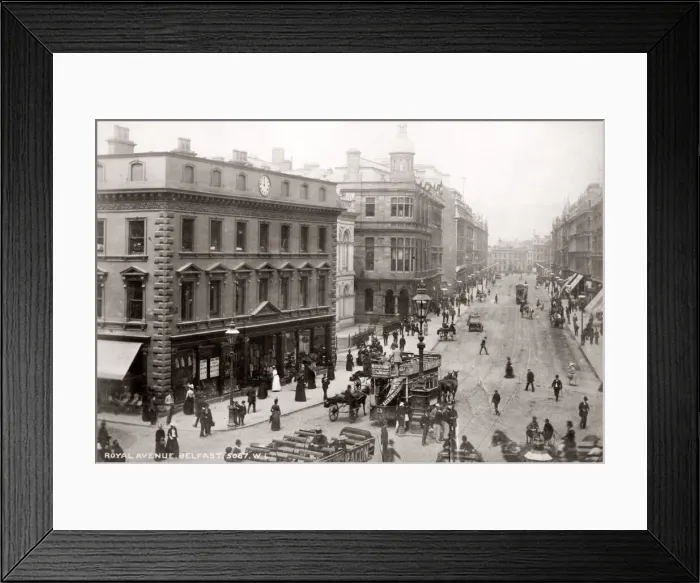 Framed Print : Royal Avenue Belfast, Northern Ireland, c. 1890 Framed Print : Royal Avenue Belfast, Northern Ireland, c. 1890
