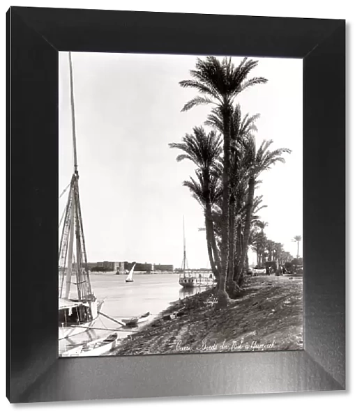 Boats and palms, banks on the River Nile, Egypt