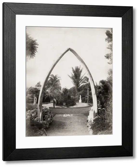 Framed Print : Whale bone arch, Botanical Gardens, Brisbane, Australia Framed Print : Whale bone arch, Botanical Gardens, Brisbane, Australia