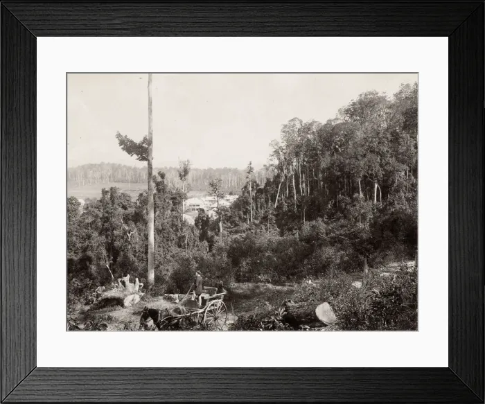 Framed Print : Scrub scenery, Queensland, Australia, horse and carriage Framed Print : Scrub scenery, Queensland, Australia, horse and carriage